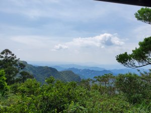 獅公髻尾山(傑士嶺）(火燒寮山）O走