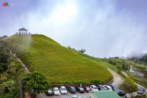 WL 愛旅行【太麻里山】