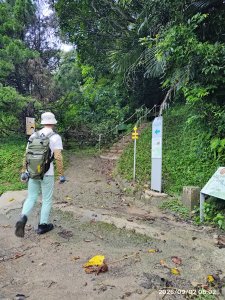 百大必訪步道-新竹-飛鳳山、觀日坪古道