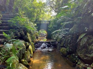 【新聞】虎山溪步道 城市生態微旅行