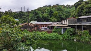 南港四分溪,三重埔埤濕地復育,大坑溪