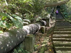 2024/09/16 天母古道（水管路） 紗帽山