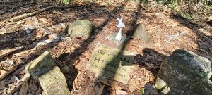 2025/01/30_白冷山步道