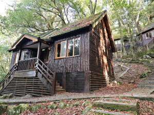 大雪山森林遊樂區森林浴步道