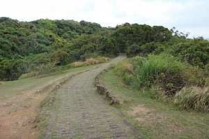 社頂自然公園步道