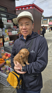 Anderson.Huang《崇浩》☀️的頭像