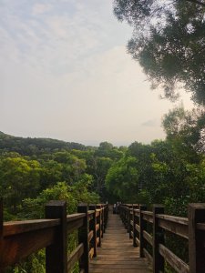 大肚萬里長城11年前的今天