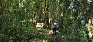 2025/08/09_赤柯山+東獅頭山步道