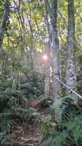 銀河-樟湖-鵝角格山-三玄宮山-指南路三段40巷--包種茶推廣中心-天恩宮-貓纜站-樟湖