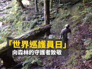 【環境】揹起重裝 守護仙境 「世界巡護員日」向森林護管員致敬
