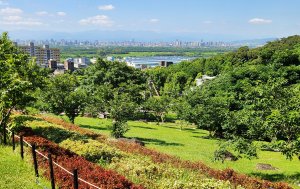找尋消失的凱達格蘭族，嗄嘮別公園，嗄嘮別古道，石砌城隍廟，桃源溪步道，桃源公園（原生植物園），田心仔綠地（自行車道），番仔厝遺址，大業綠地健康步道