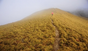 南雙頭山