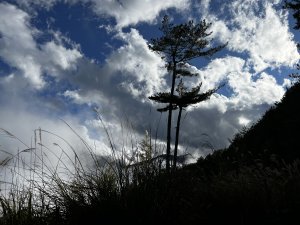 卯木山 合歡越嶺古道單人野營