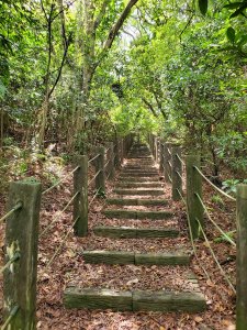 小坪頂，三空泉步道，滬尾櫻花大道