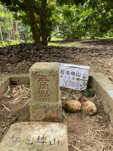 大年初一尋找小百岳NO62紅毛埤山