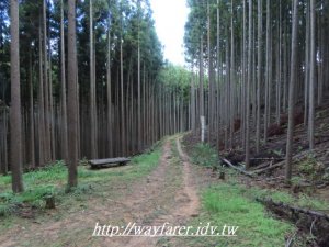 京都一周步道（京都大縱走）第六天：市原巴士站牌-高雄槇ノ尾巴士站牌