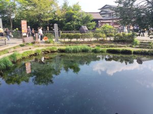 忍野八海