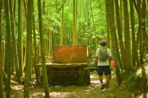 【臺中】和平長壽山｜肥崠山