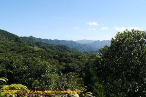 【新北市】雷公埤山-蕃薯寮山