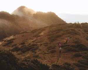 【從數據看山難】2023年山難統計出爐，件數及人數雙雙創新高