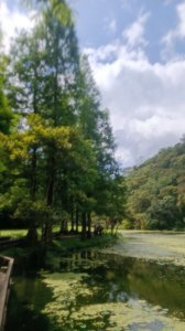 百大：福山植物園