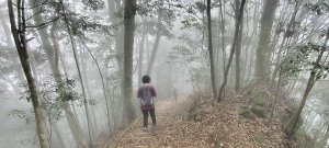 馬那邦山(上湖登山口)-2026/04/18