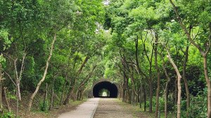 新竹市竟藏有夢幻歐式森林，沿途盡是美景，令人驚艷之南十八尖山，連走崎頂子母隧道