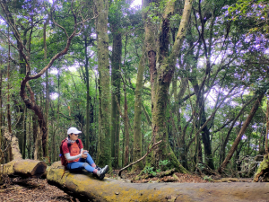 2025-016：清泉山縱走民都有山