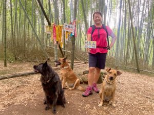 溪頭山、竹崙山、志騰山、妖怪村