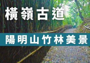 【陽明山「橫嶺古道」茂密竹林，像極日本嵐山景點！】