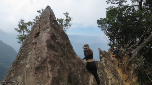 《新竹》斷崖神木｜北得拉曼步道小P繞