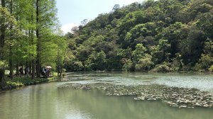 2019.04.07福山植物園
