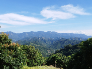 [台中太平][一]車籠山、坪林山、御子山(虎頭山)、番子路山、豬槽山