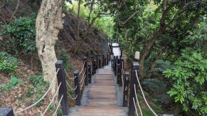 【臺中】北屯大坑九號步道｜大坑十號步道