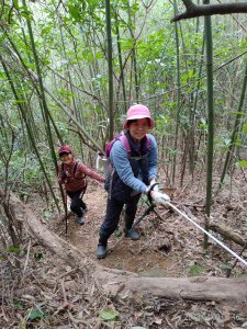 [新竹]大沙香8連峰(O型)...大肚庄~沙坑山~香園窩山