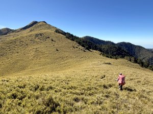 大眾運輸登 雪山西稜 (中雪山未竟) 2025/12/3~9