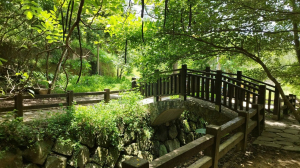四獸山中相對冷門路線，豹山、獅山之間的豹山溪步道