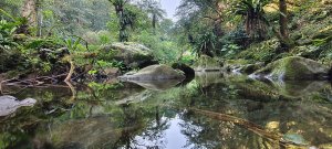 2026/02/21-馬胎古道（含二期）