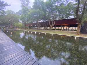 都市中的綠洲-大湳森林公園