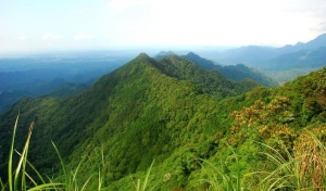 仙山