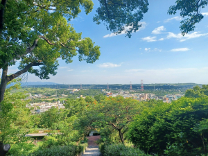 【苗栗新竹】通霄神社x通霄虎頭山步道x新竹香山濕地賞蟹步道