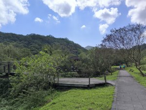 20251108草嶺古道