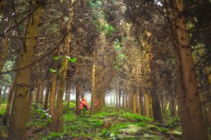 向天湖山步道 (大 O：含三角湖山、光天高山)