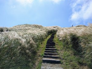 《百大必訪步道：台北Top 1》七星山主、東峰登山步道