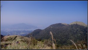 【大屯山】群峰：植物彙整