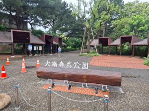 宵裡好風光相簿活動