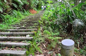 南投鯉魚潭森林步道