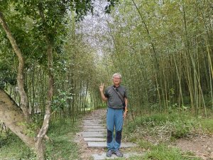 [漫遊縱谷 愛在花東-04/10] 2025_1011 羅山村竹林步道