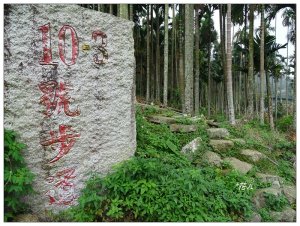 華山/10號1~5步道