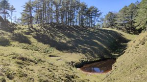 東埔上郡大山下對關山龍貓公車 2024年12月1日